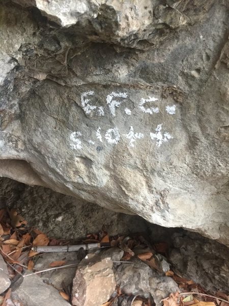 EFC