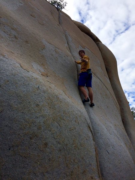 The monkeys are sending at Rexrodes. Photo by Frank Dolan