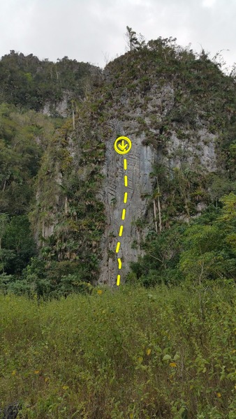 Middle route on the wall.