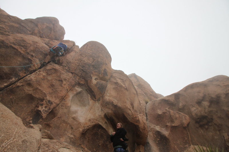 This photo was taken by my 4 year old of me climbing box canyon crack. after this a poorly placed nut and sprint to the top.