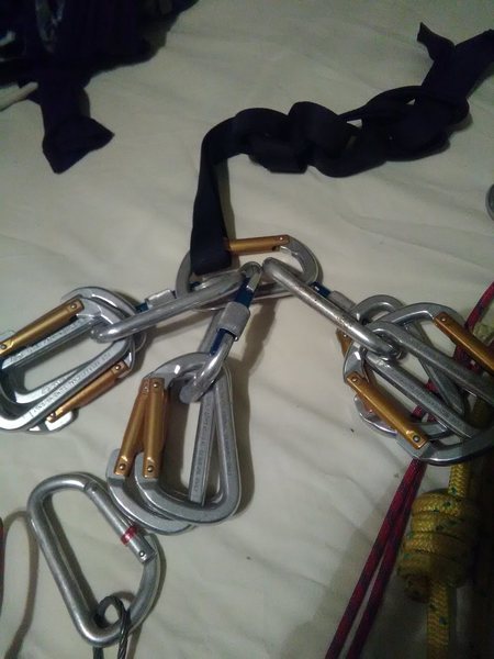 d clips they say REI USA KN 21 5.7 and Blue clips have screw lock and say KN 26 9