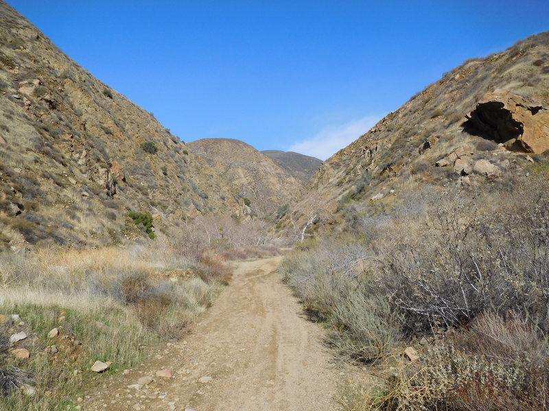 As the description indicates once across the bridge the dirt road splits. Continue left at the split and into this canyon.