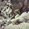 boulder canyon