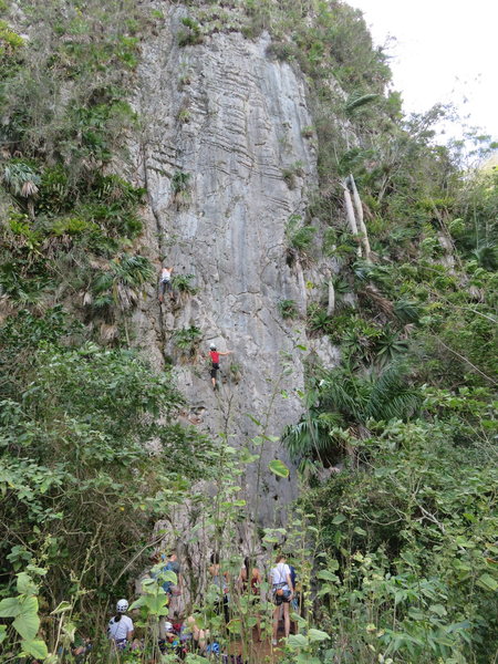 Busy day on Punta Repaso!