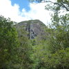 Tairua Crag as seen from the campsite. About 150m high.