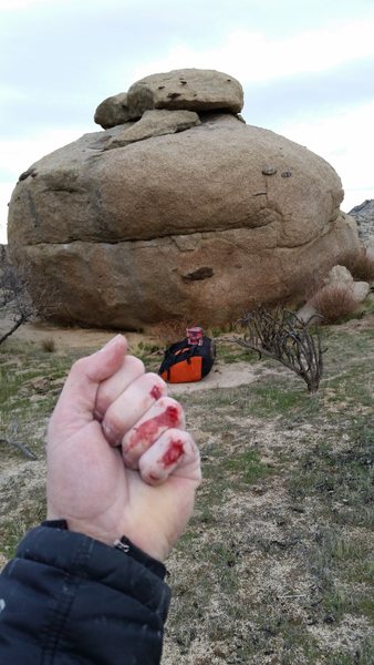 Can't win them all. I'll be back to bleed on you some more frog face boulder.