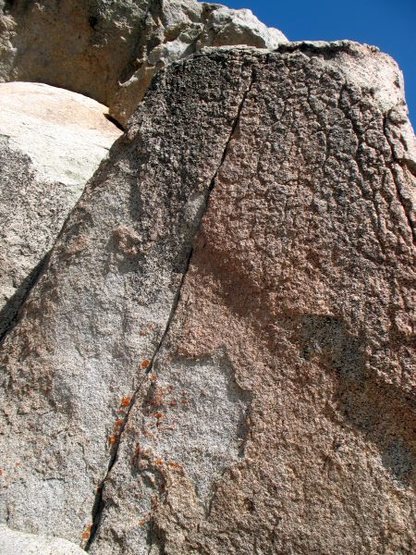 Capillary Lockdown (V4), Tramway