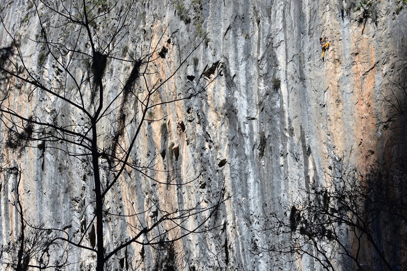 Larissa Arce redpointing, just past the final crux on the extension of El Infierno de Dante (5.14a)