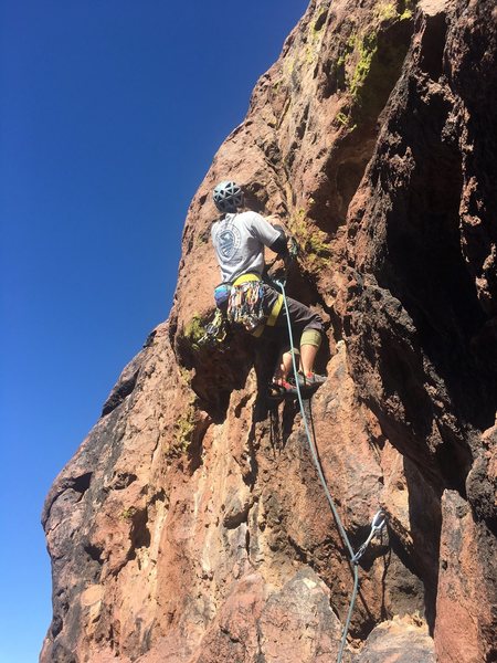 Lin leading the gear variation of BVC
