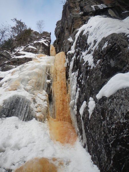 Looking up the gully.