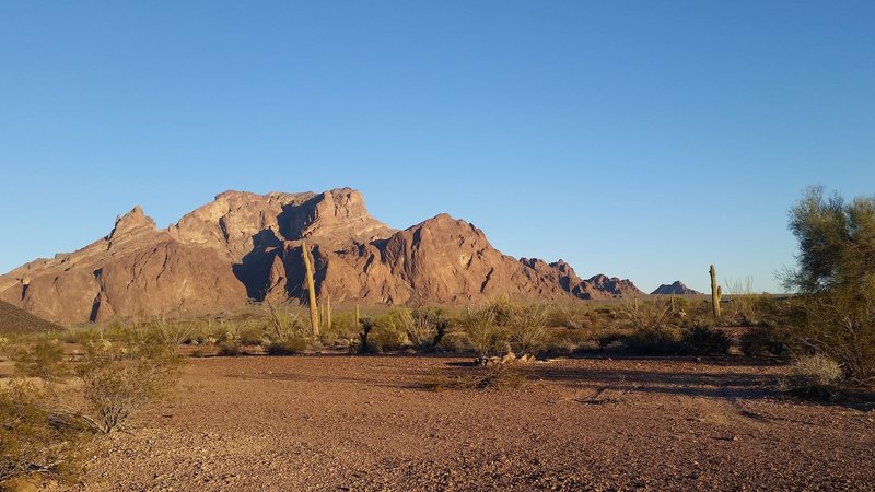 The west face of Signal Mountain, the highest point in the Kofa range of southwest Arizona.