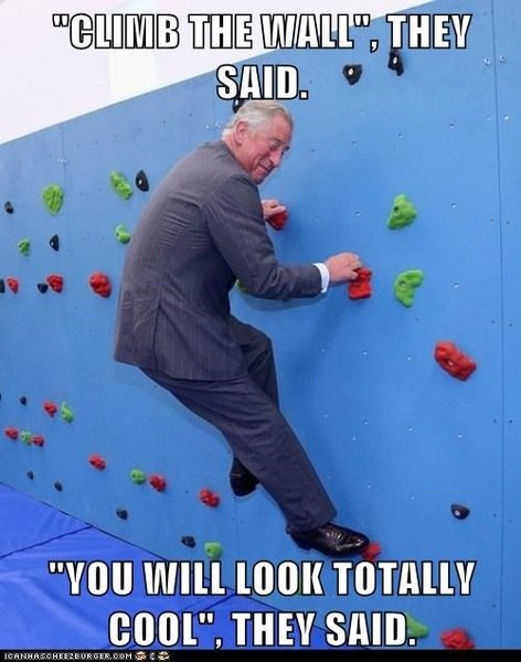 CLIMBING MEMES