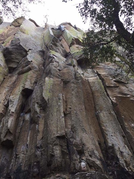 Above the cactus before making the devious and tenuous move into the finger crack.