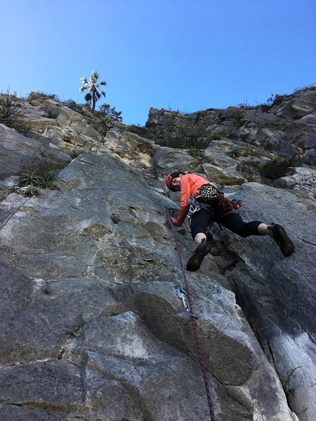 Starting up P3. Crux at the broken roof? I guess so. Jugs and feet galore.