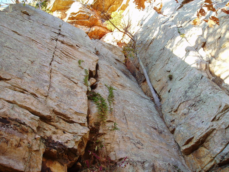 Lower section of Lets Face It (from 2005, is tree still there?)<br>