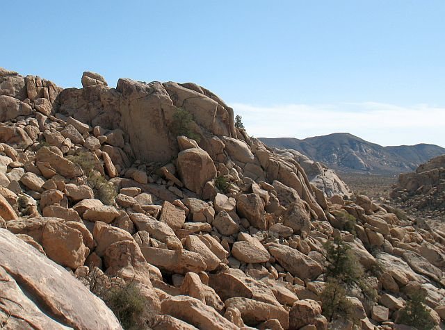 Walee Rock, Joshua Tree NP