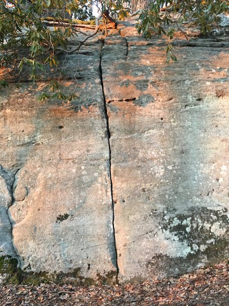 Crack of Earthly Delights