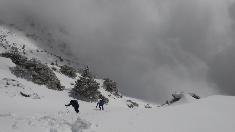 Near top