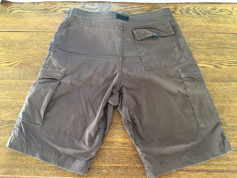 prana zion short