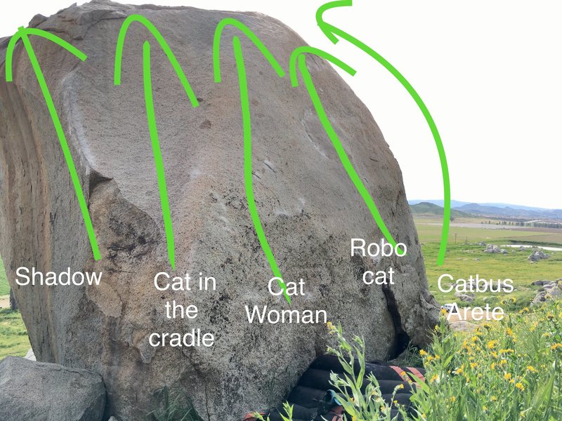 Slab problems on the back (north facing) side of Electric Bobcat.