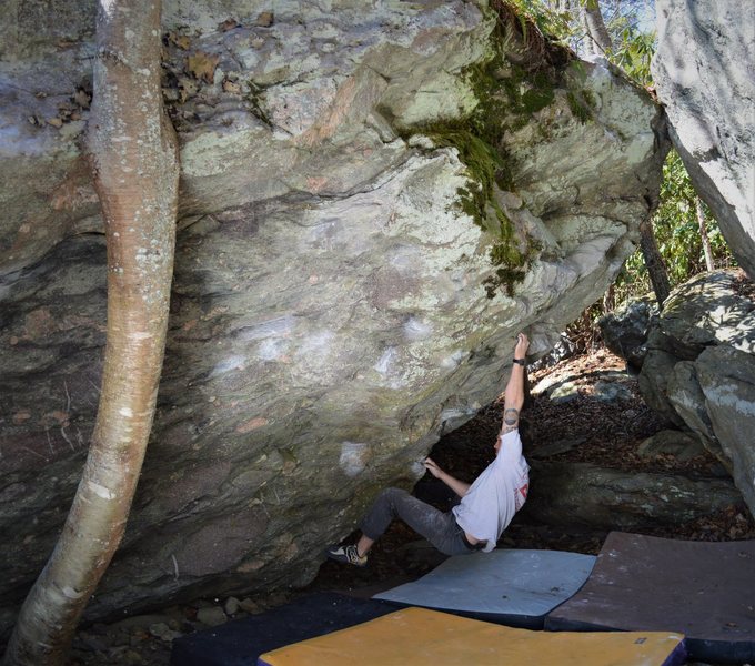 Chris Hare charging into "Death in the Afternoon"