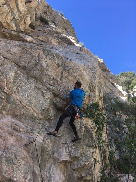 Finding the undercling.