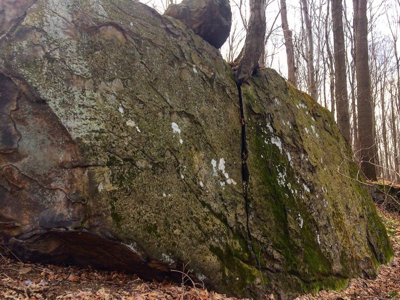 The Babs Boulder, not too tall but still a ton of fun.