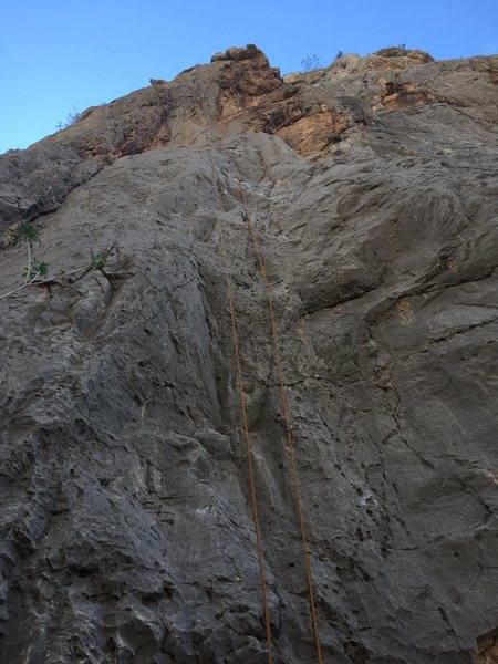 The route