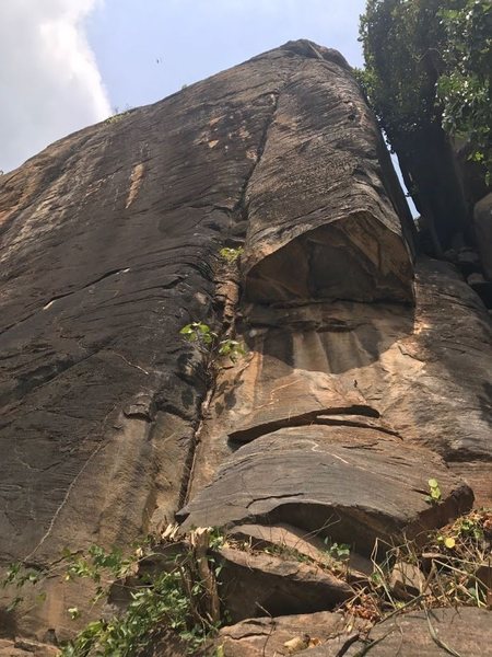 Bat crack (l) and Bat chimney (r)