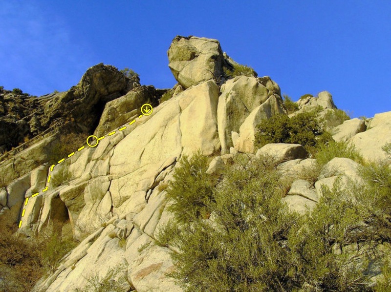Swing Trumpet beta on Burner Buttress.