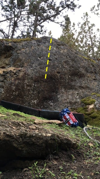 Mossy boulder