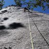 Good top rope after doing hernia...set a directional off 5th bolt<br>
even worth doing just to climb the flake 