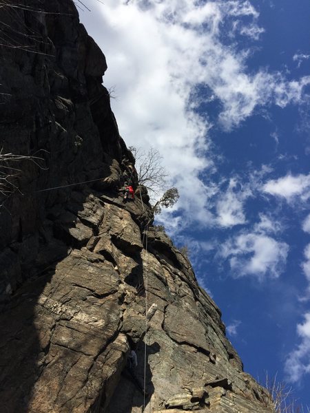 top of ocre with a second TR line to the right on dead tree