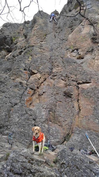Cleopatra's crack.