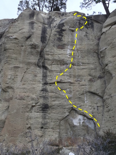 Tenacious topo