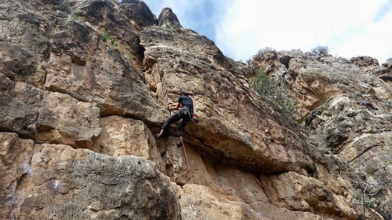 Matt on Mickey Goes To Vegas. 13 Black is the line just to the left that goes up into the ledge