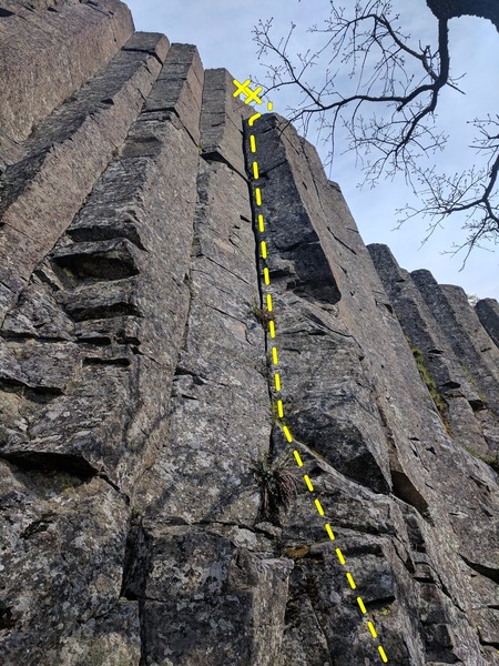 Hanz Crack overview