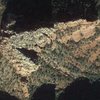 Crown Butte viewed from space, showing arrowhead geometry. (Google Earth image)