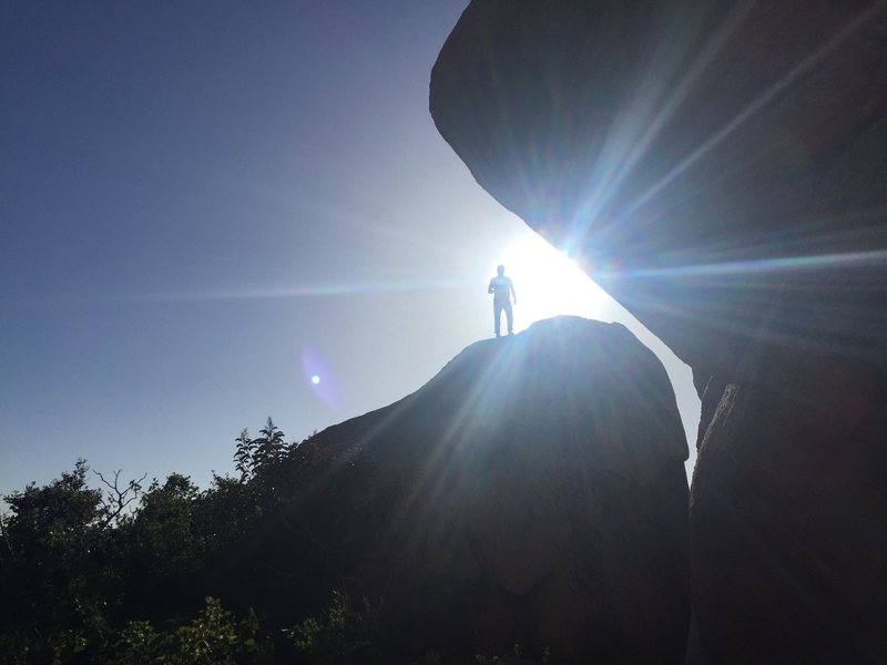 Into the sun with Vasa and Library