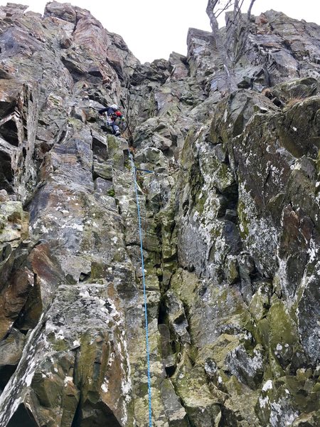 About a third of the way up Stem City. Watch for loose blocks near the top at the crux.