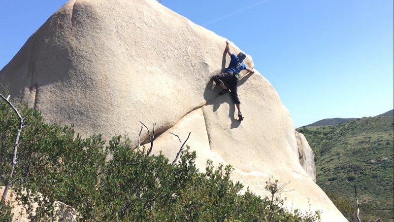Reaching for nothing.<br>
The rock is taller than what appears here. The brush is high.