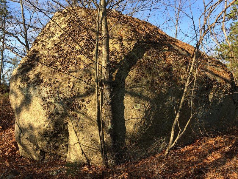 Promised Land 110 (PL110).
