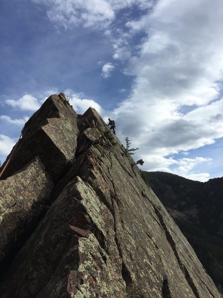 Right at the summit on The Yellow Spur.