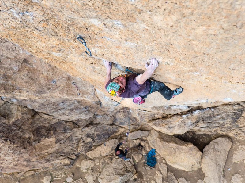 A gyps goes sport climbing