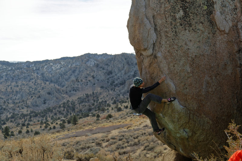The Prow