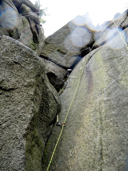 looking up the cracks