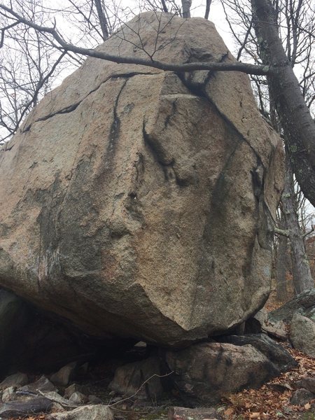 Bob Parrot Boulder - G11.