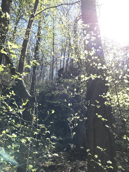 View from the trail.