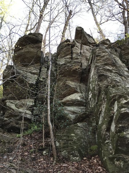 Wider-view of the formation