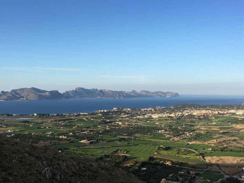 View of Badia de Alcudia from the top of La Mosca